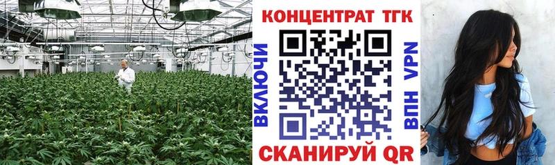 мега tor  Камызяк  Дистиллят ТГК гашишное масло 