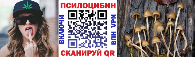 Галлюциногенные грибы ЛСД  как найти закладки  KRAKEN онион  Камызяк 